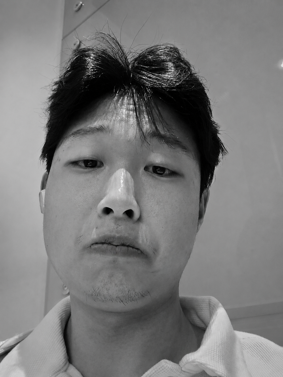 Portrait of Luping Shen